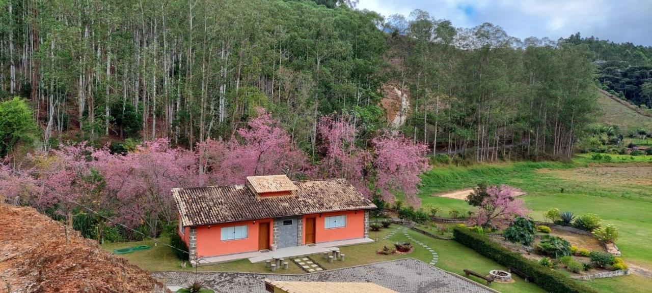Cabanas Eco Das Montanhas Домингос Мартинс Екстериор снимка