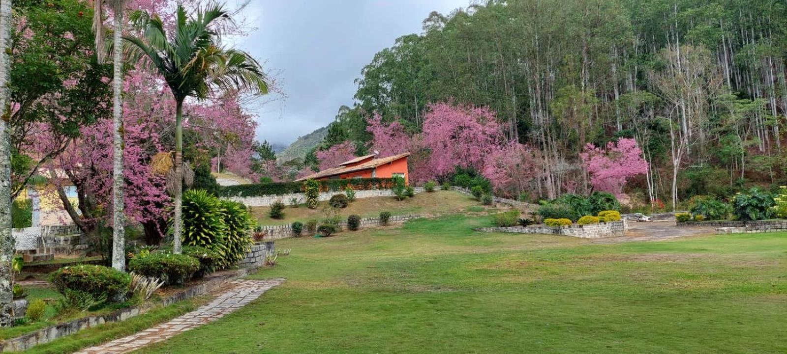 Cabanas Eco Das Montanhas Домингос Мартинс Екстериор снимка